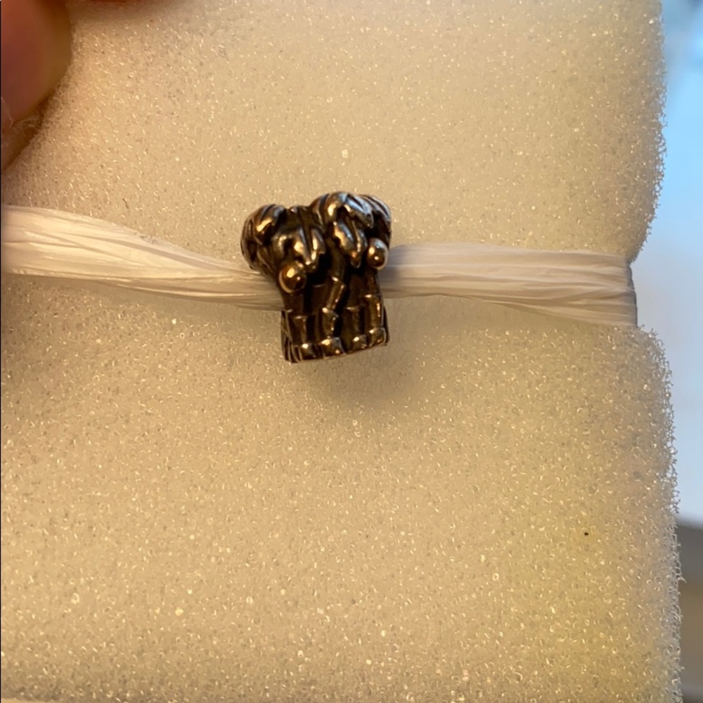 Pandora charm